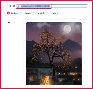 Copy the URL of video